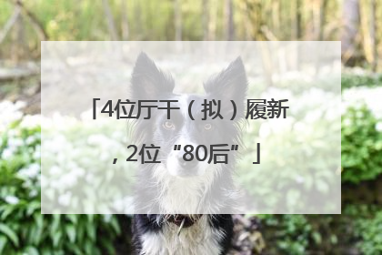 4位厅干（拟）履新，2位“80后”