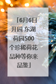 6月6日开园 东湖荷园500个珍稀荷花品种等你来品鉴