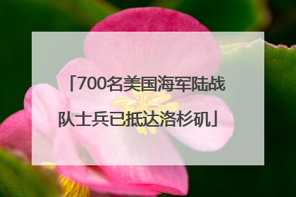 700名美国海军陆战队士兵已抵达洛杉矶