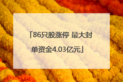 86只股涨停 最大封单资金4.03亿元