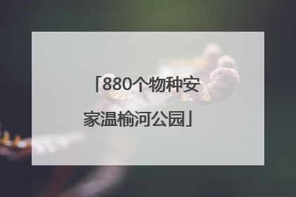 880个物种安家温榆河公园