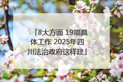 8大方面 19项具体工作 2025年四川法治政府这样建