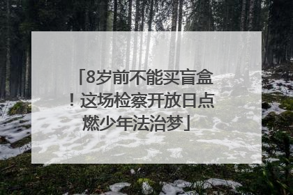 8岁前不能买盲盒！这场检察开放日点燃少年法治梦
