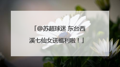 @苏超球迷 东台西溪七仙女送福利啦！