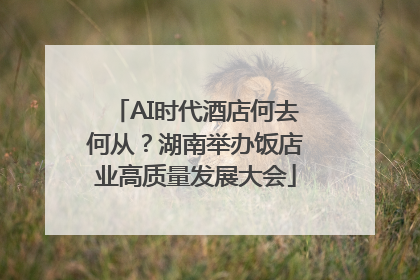 AI时代酒店何去何从？湖南举办饭店业高质量发展大会