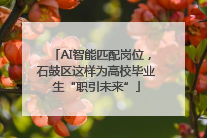 AI智能匹配岗位，石鼓区这样为高校毕业生“职引未来”