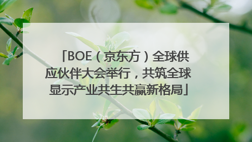 BOE（京东方）全球供应伙伴大会举行，共筑全球显示产业共生共赢新格局