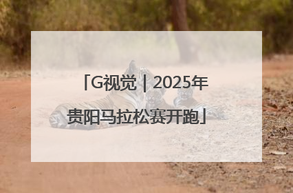 G视觉｜2025年贵阳马拉松赛开跑