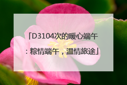 D3104次的暖心端午：粽情端午，温情旅途