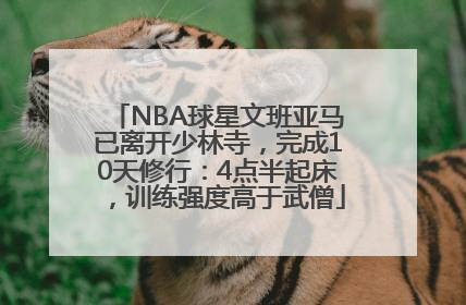 NBA球星文班亚马已离开少林寺，完成10天修行：4点半起床，训练强度高于武僧