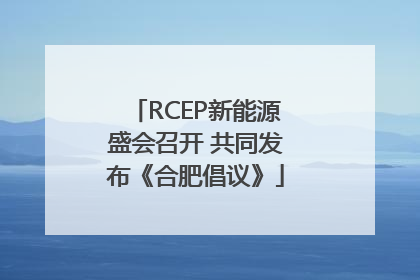 RCEP新能源盛会召开 共同发布《合肥倡议》